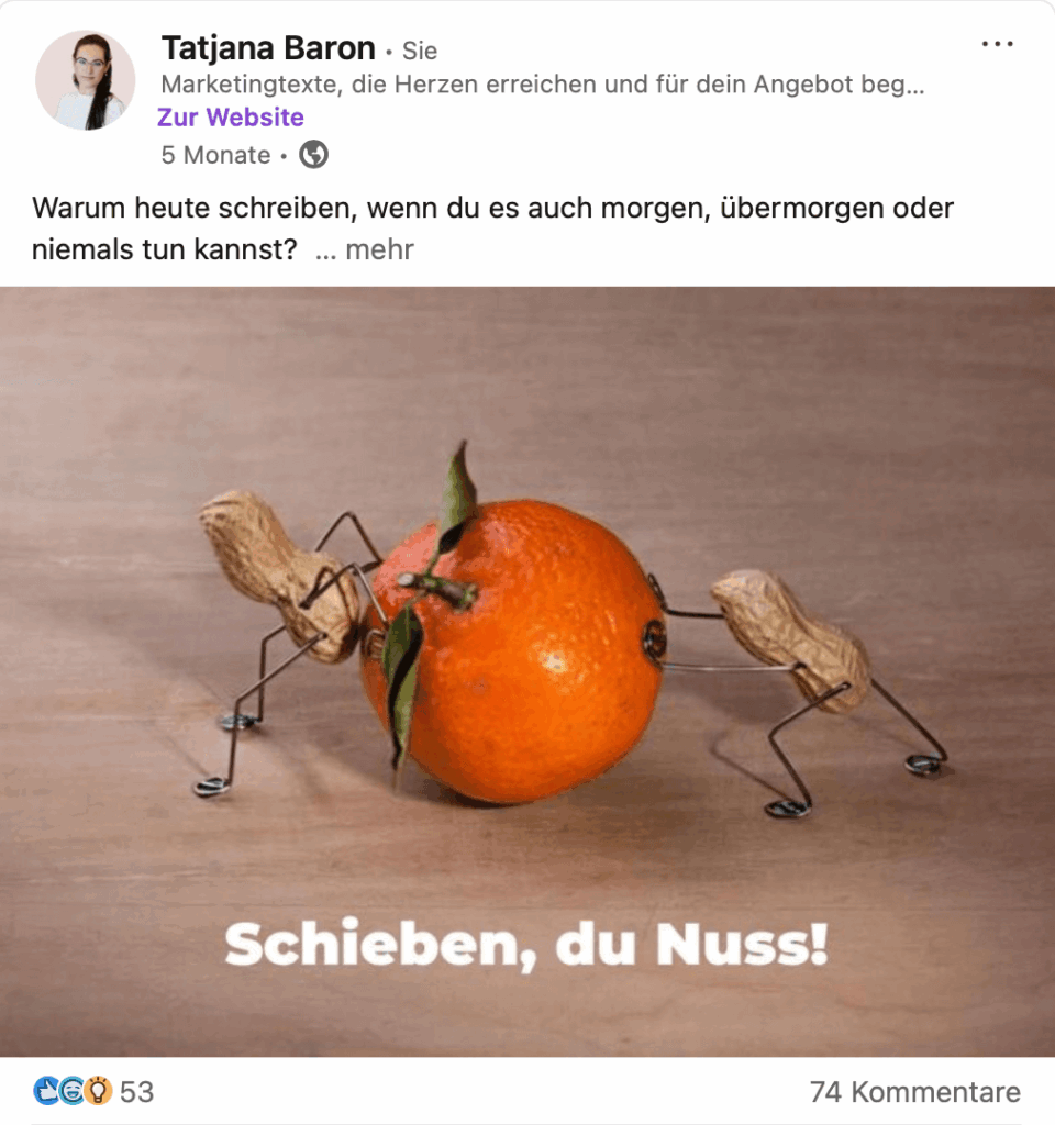LinkedIn-Coaching Nussmännchen